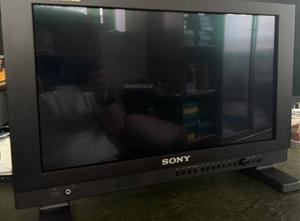 Sony PVM-A170 OLED Monitor